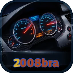 2008bra
